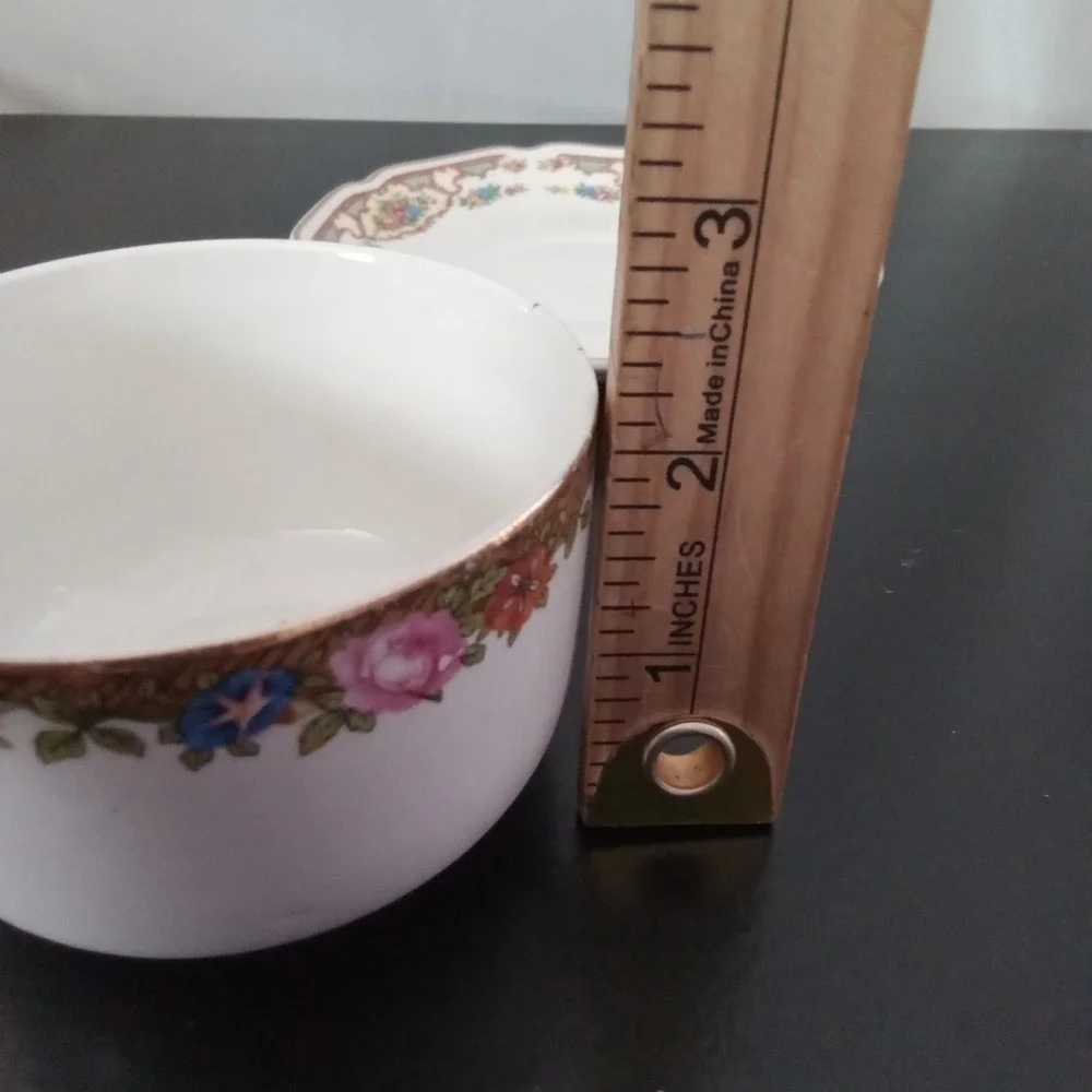 Vintage Floral Porcelain Teacup and Saucer Set Gold Rim Scalloped Edge White